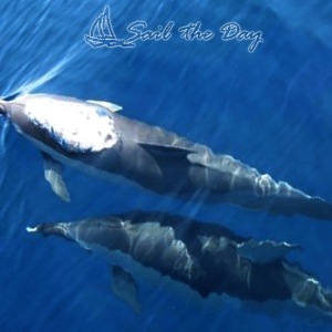 069sail-theday-skiathos