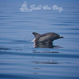 070sail-theday-skiathos