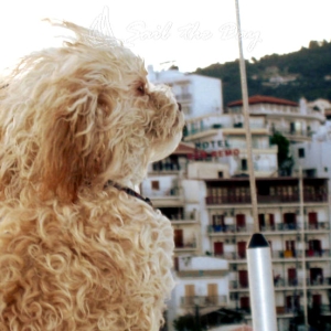 008sail-theday-skiathos